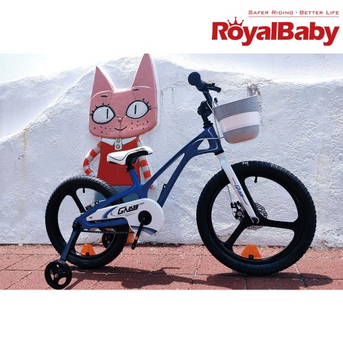 로얄베이비 갤럭시 어린이 아동 보조바퀴 자전거